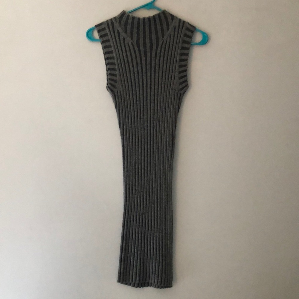 Express Knit Dress